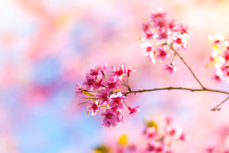 卒業・入学シーズン